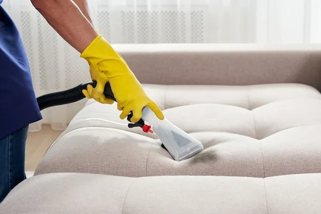 Sofa & Upholstery Cleaning Service